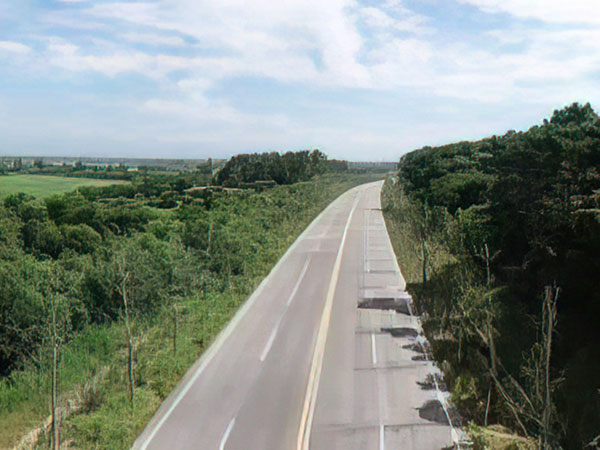 X280乡道杨山村段道路升级改造工程项目