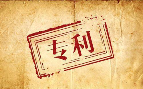 专利入股可行性研究报告