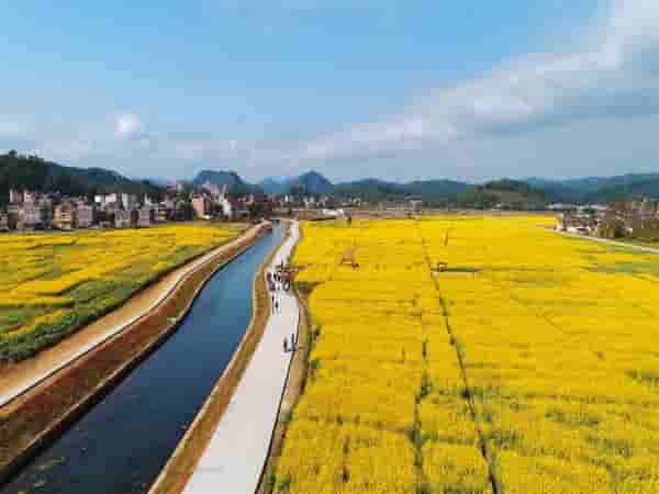 云浮市云城区促进镇域经济高质量发展研究