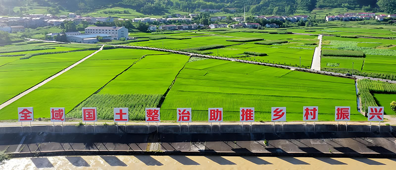 某市区万亩土地整治项目第一期可行性研究报告